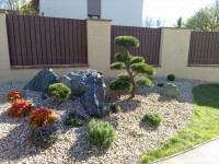 /album/fotogalerie-zahrady/img-20170502-183643-jpg/