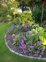 /album/fotogalerie-zahrady/img-20200616-200843-jpg1/