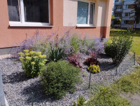 /album/fotogalerie-zahrady/44-jpg/