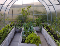 /album/fotogalerie-zahrady/66-jpg/